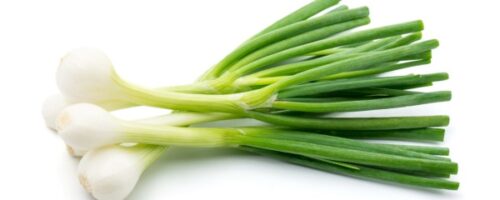 Green Onions