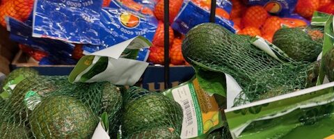 Avocado