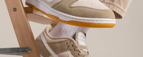 Nike Dunk shoe