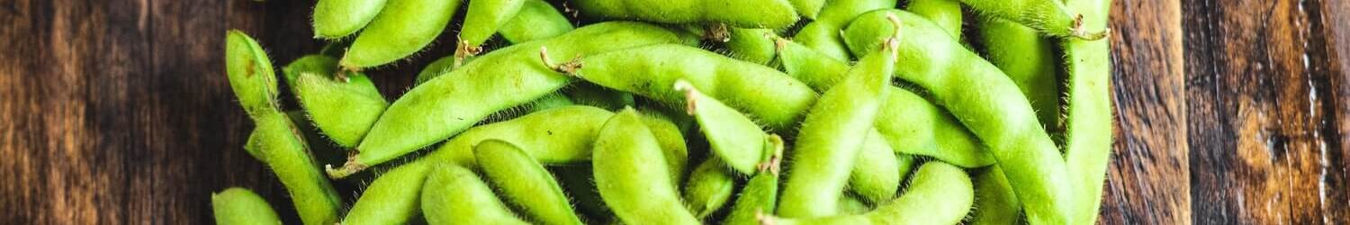 Edamame