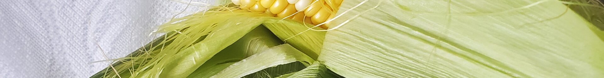 Taber Corn