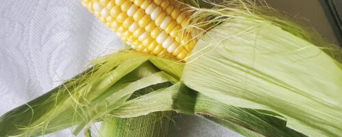 Taber Corn